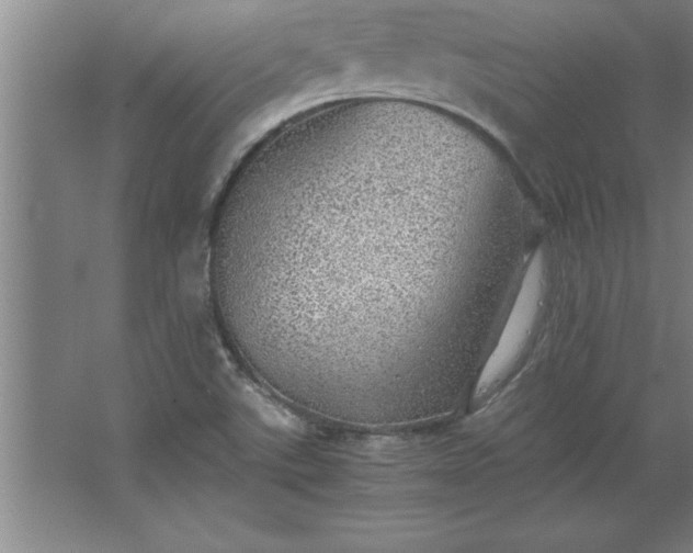 X0000062651507200512281634