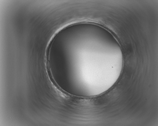 X0000062651508200512281634