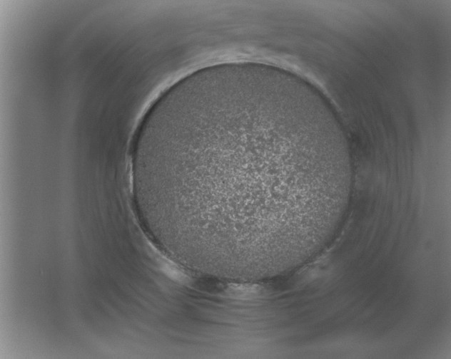 X0000062651509200512281634