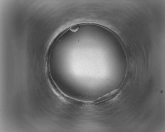 X0000062651511200512281634