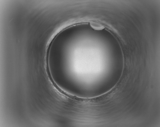 X0000062651512200512281634