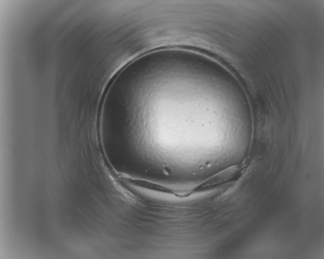 X0000062651513200512281634