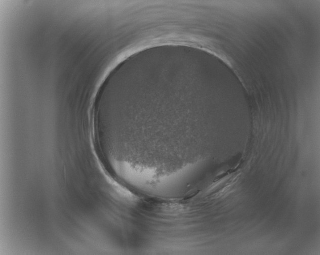 X0000062651515200512281634