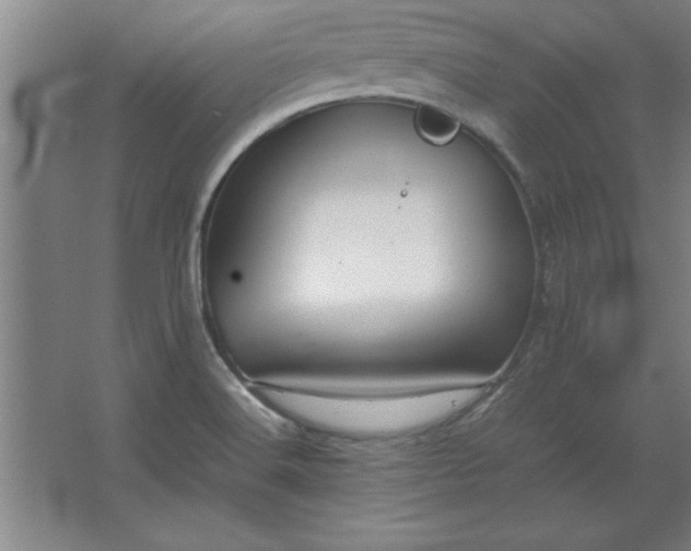 X0000062651516200512281634