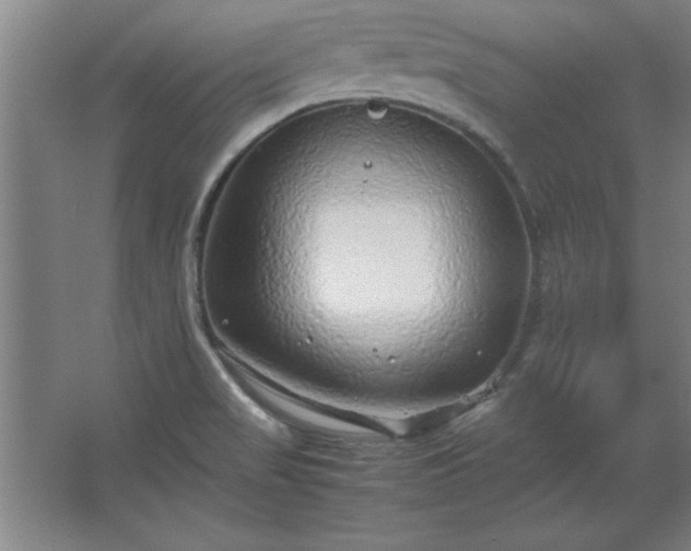 X0000062651517200512281634