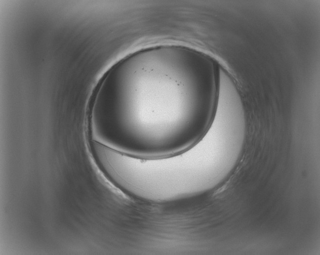 X0000062651518200512281634