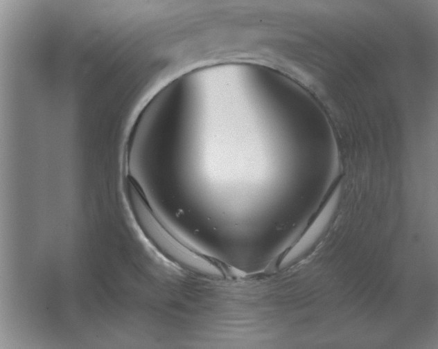 X0000062651520200512281634