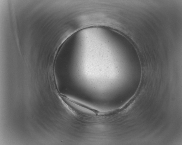 X0000062651521200512281634