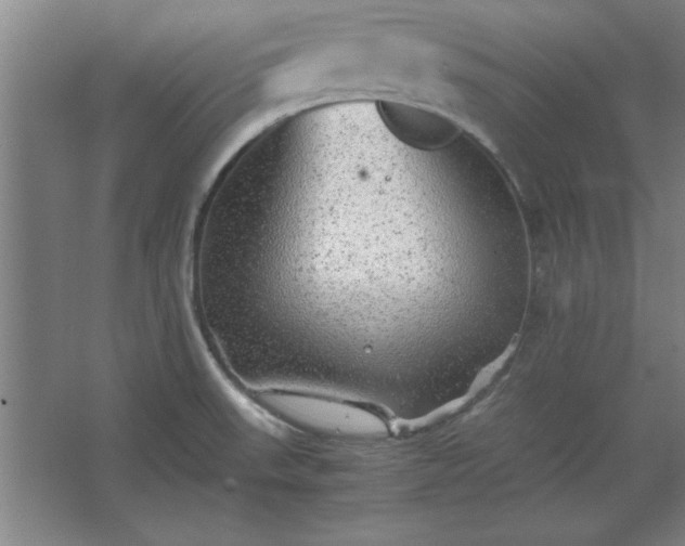 X0000062651523200512281634