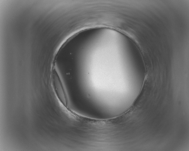 X0000062651524200512281634