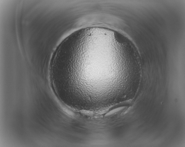 X0000062651525200512281634