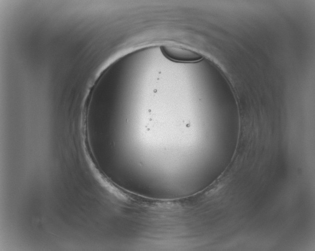 X0000062651526200512281634