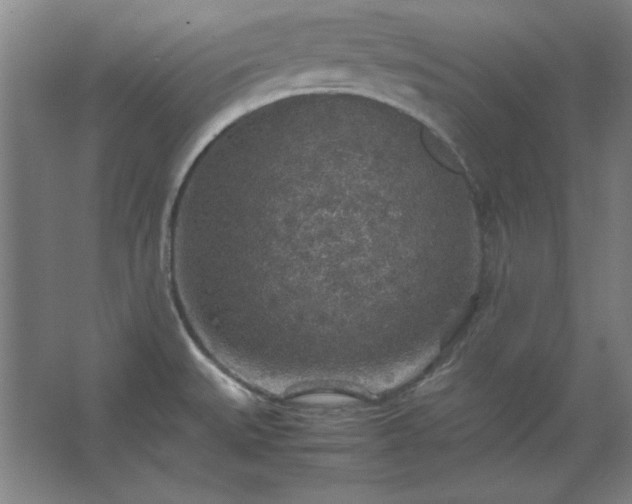 X0000062651527200512281634