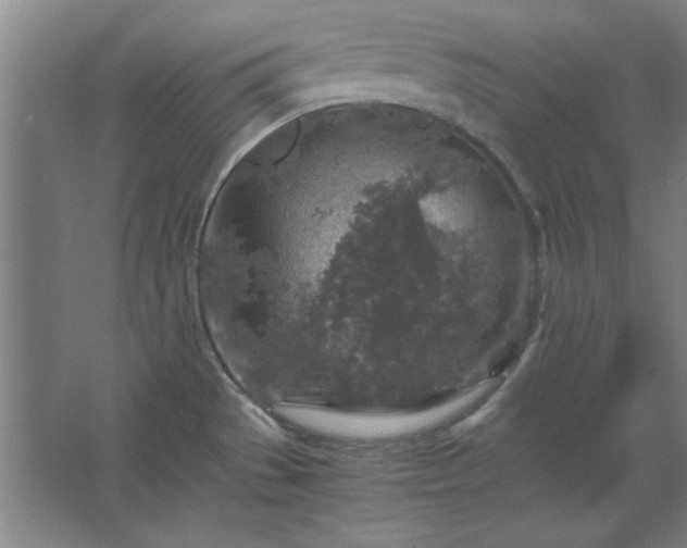 X0000062651529200512281634