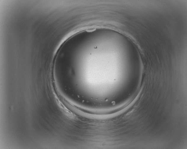 X0000062651530200512281634