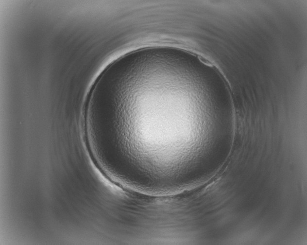 X0000062651531200512281634