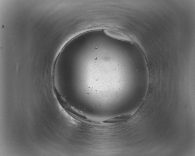 X0000062651532200512281634