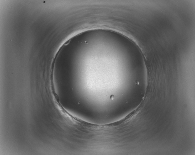 X0000062651534200512281634