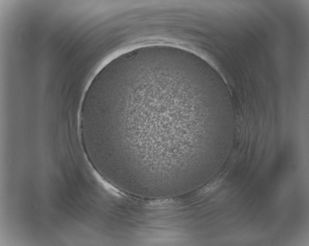 X0000062651535200512281634