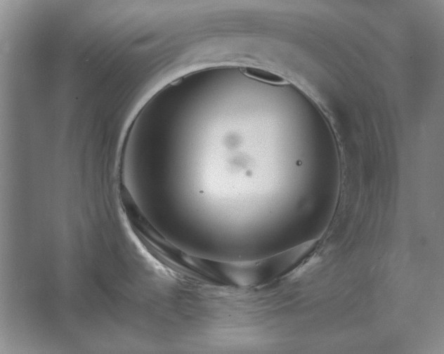 X0000062651536200512281634