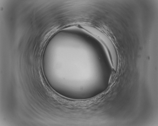 X0000062650001200601040930