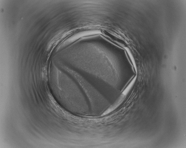 X0000062650002200601040930