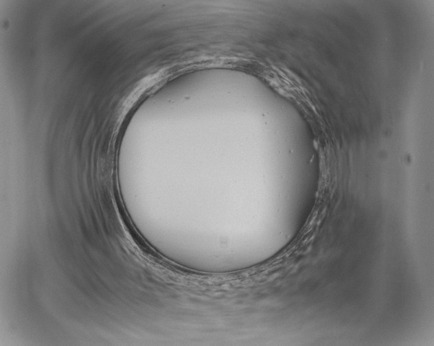 X0000062650003200601040930