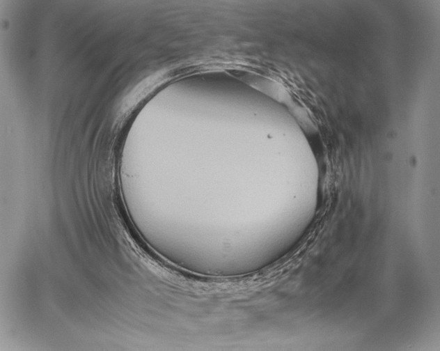 X0000062650005200601040930