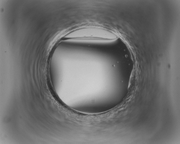 X0000062650007200601040930