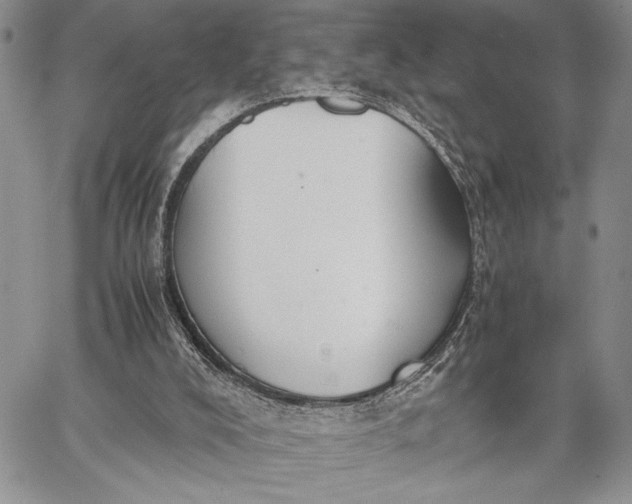 X0000062650008200601040930