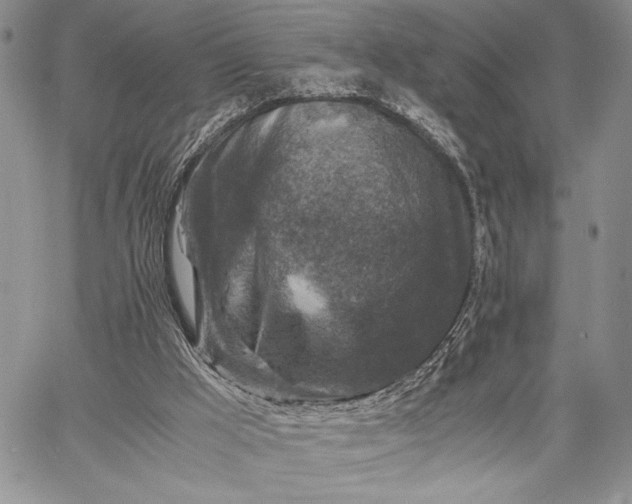 X0000062650009200601040930