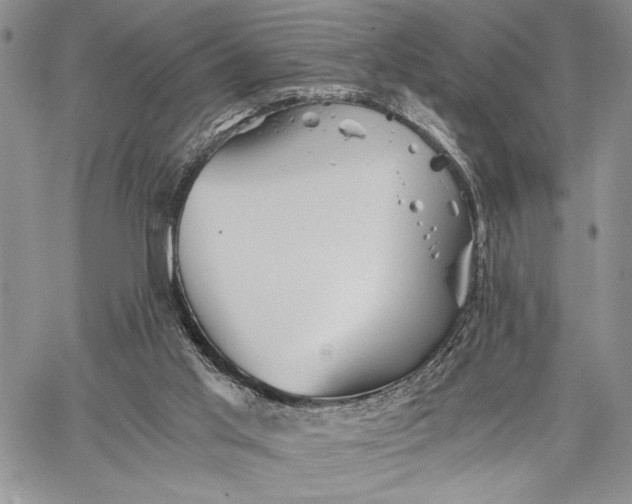 X0000062650013200601040930