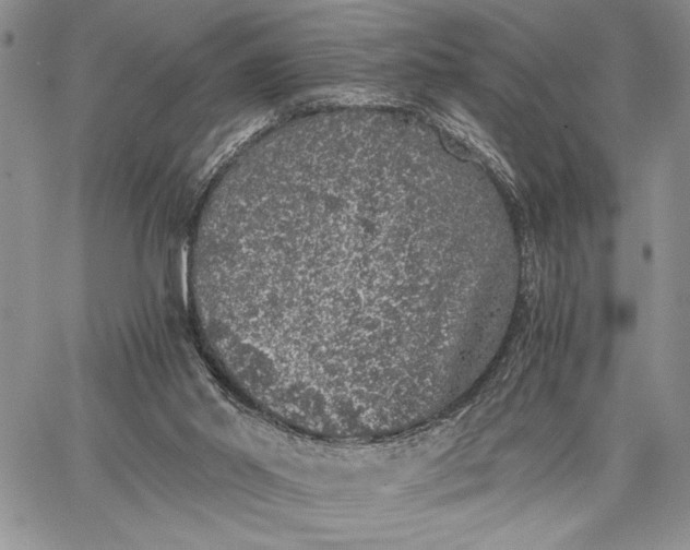 X0000062650014200601040930