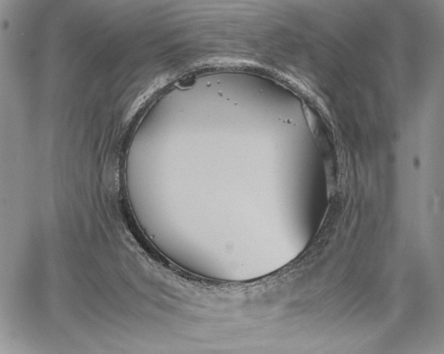 X0000062650015200601040930