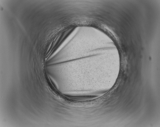 X0000062650017200601040930