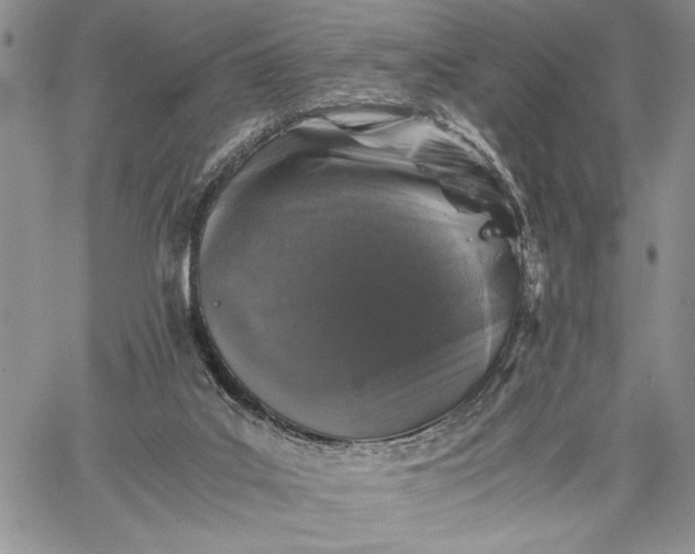 X0000062650019200601040930