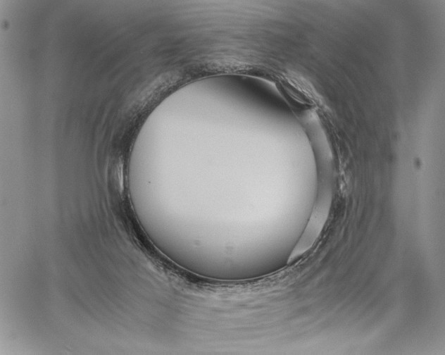 X0000062650021200601040930