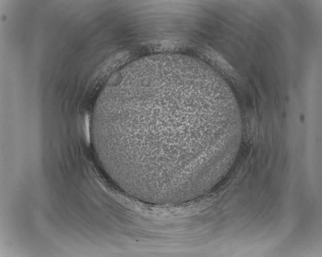 X0000062650022200601040930