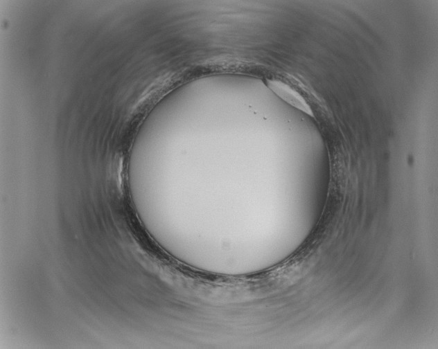 X0000062650024200601040929