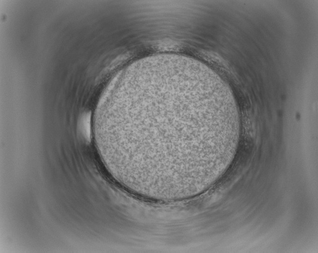 X0000062650028200601040929