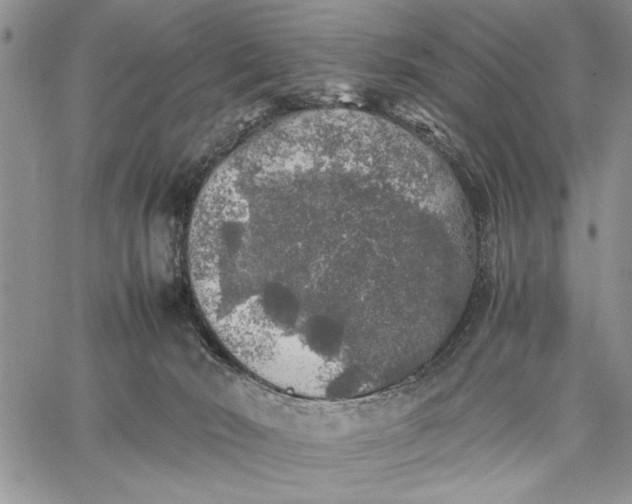 X0000062650030200601040929