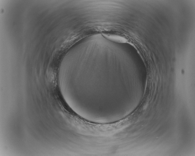 X0000062650031200601040929