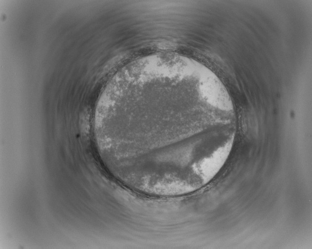 X0000062650032200601040929