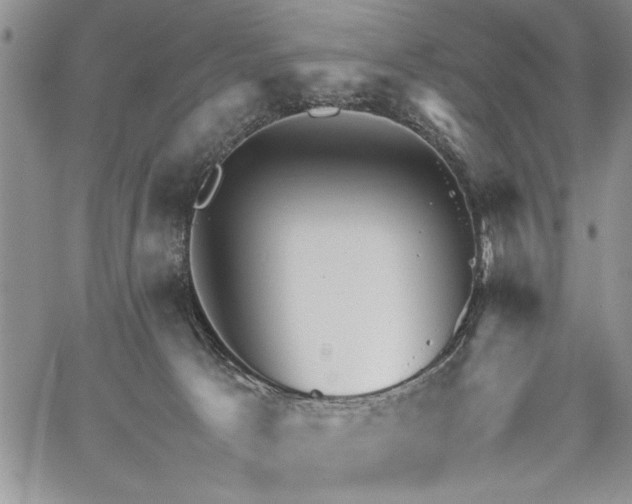 X0000062650033200601040929