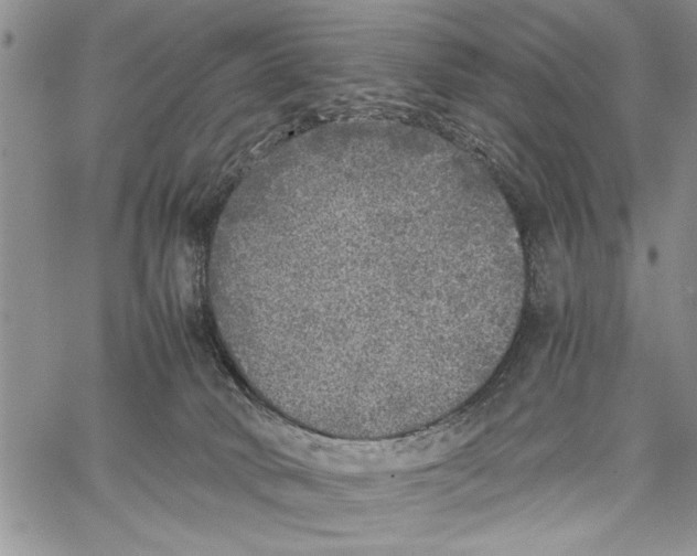 X0000062650034200601040929