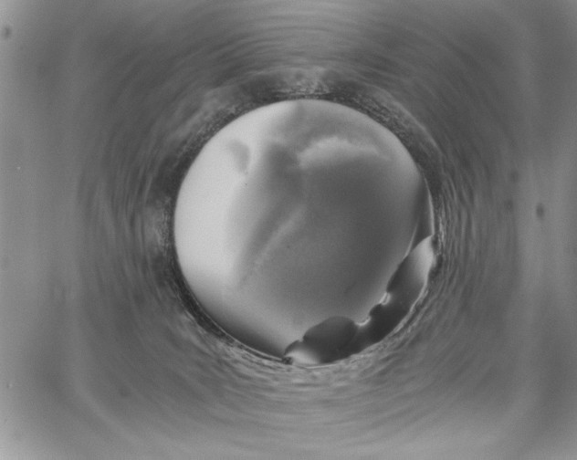 X0000062650035200601040929