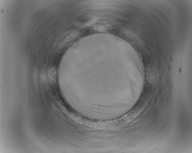 X0000062650036200601040929