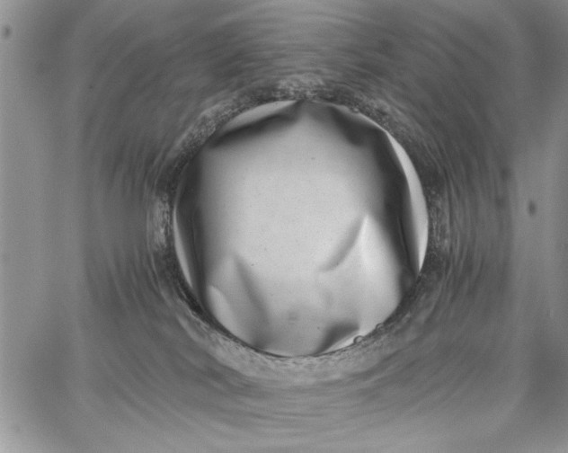 X0000062650038200601040929