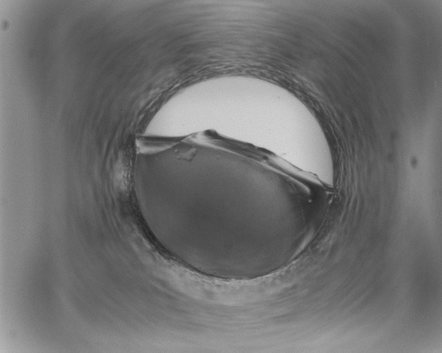 X0000062650039200601040929