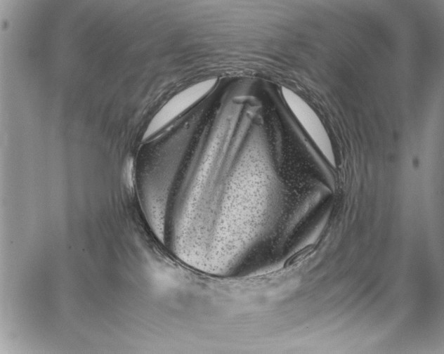 X0000062650041200601040929